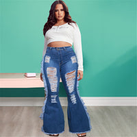 Urban High Waist Plus Size Women Jeans