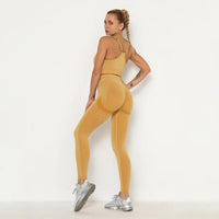 Seamless Women Gym Set Sportwear