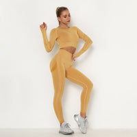 Seamless Women Gym Set Sportwear