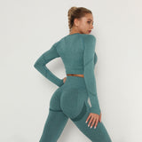 Seamless Women Gym Set Sportwear