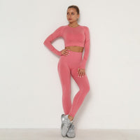 Seamless Women Gym Set Sportwear