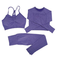 Seamless Women Gym Set Sportwear