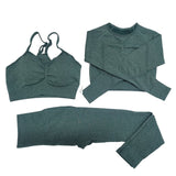 Seamless Women Gym Set Sportwear