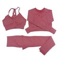 Seamless Women Gym Set Sportwear